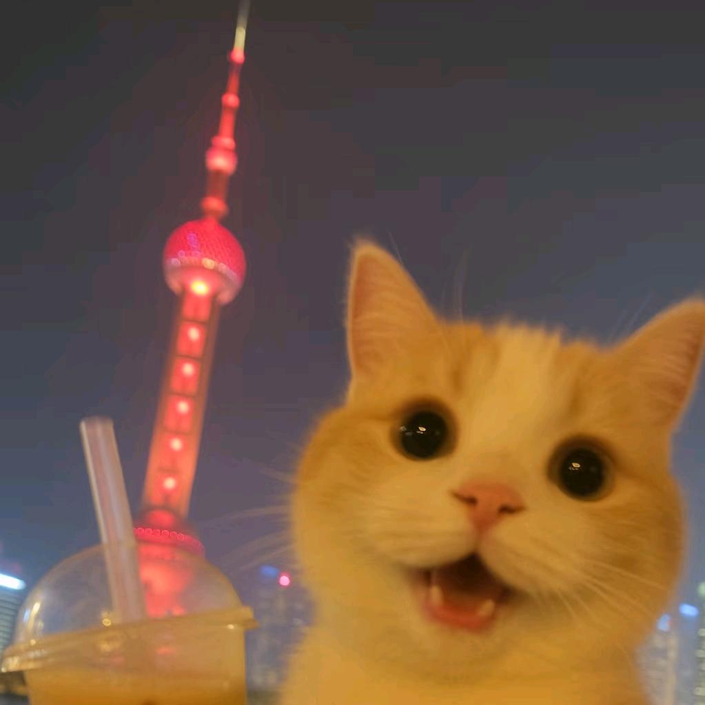 喜气  洋洋