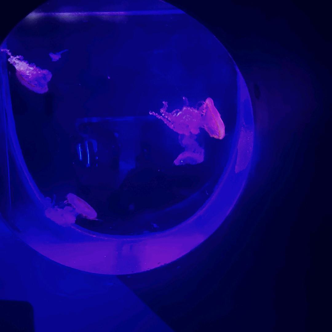 修行在个人，多结善缘与良人