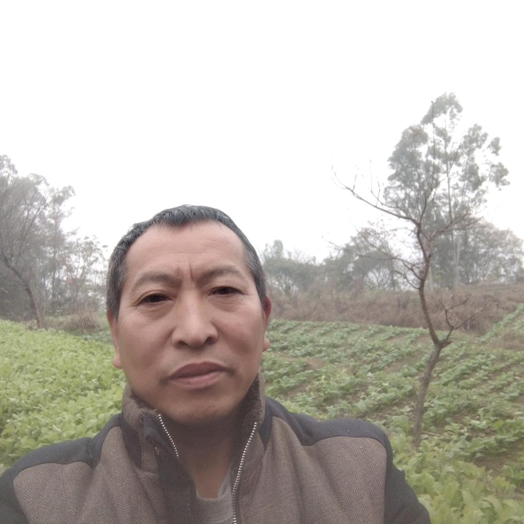 不忘恩（学山歌）