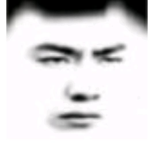 蒙古王子