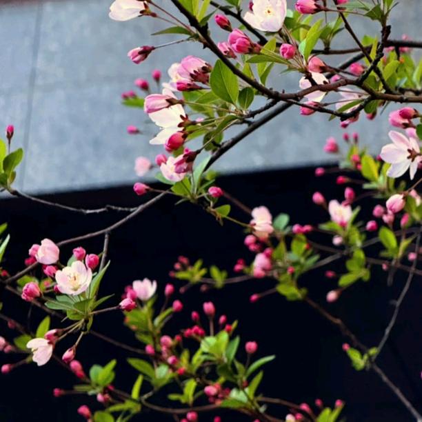 幸福，是一种感觉啊