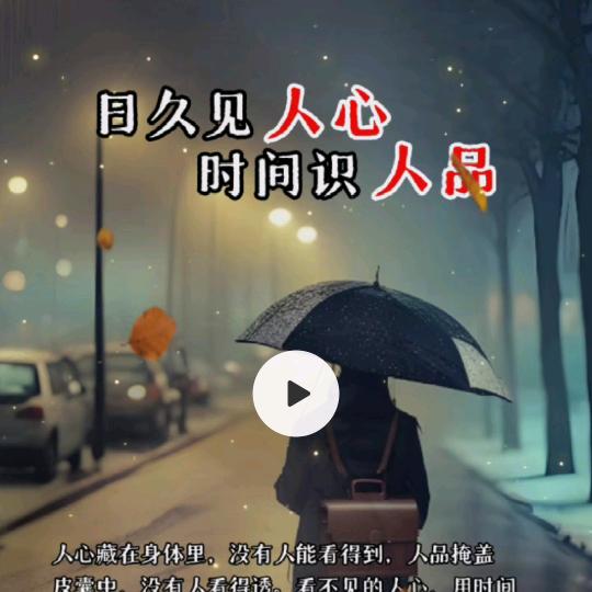真爱无悔
