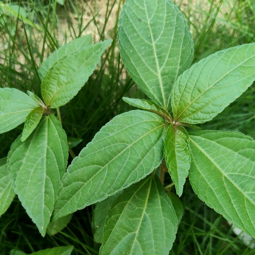 余老师康康课堂