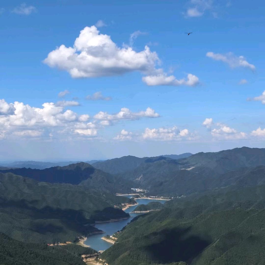 海洋贝贝贝壳粉