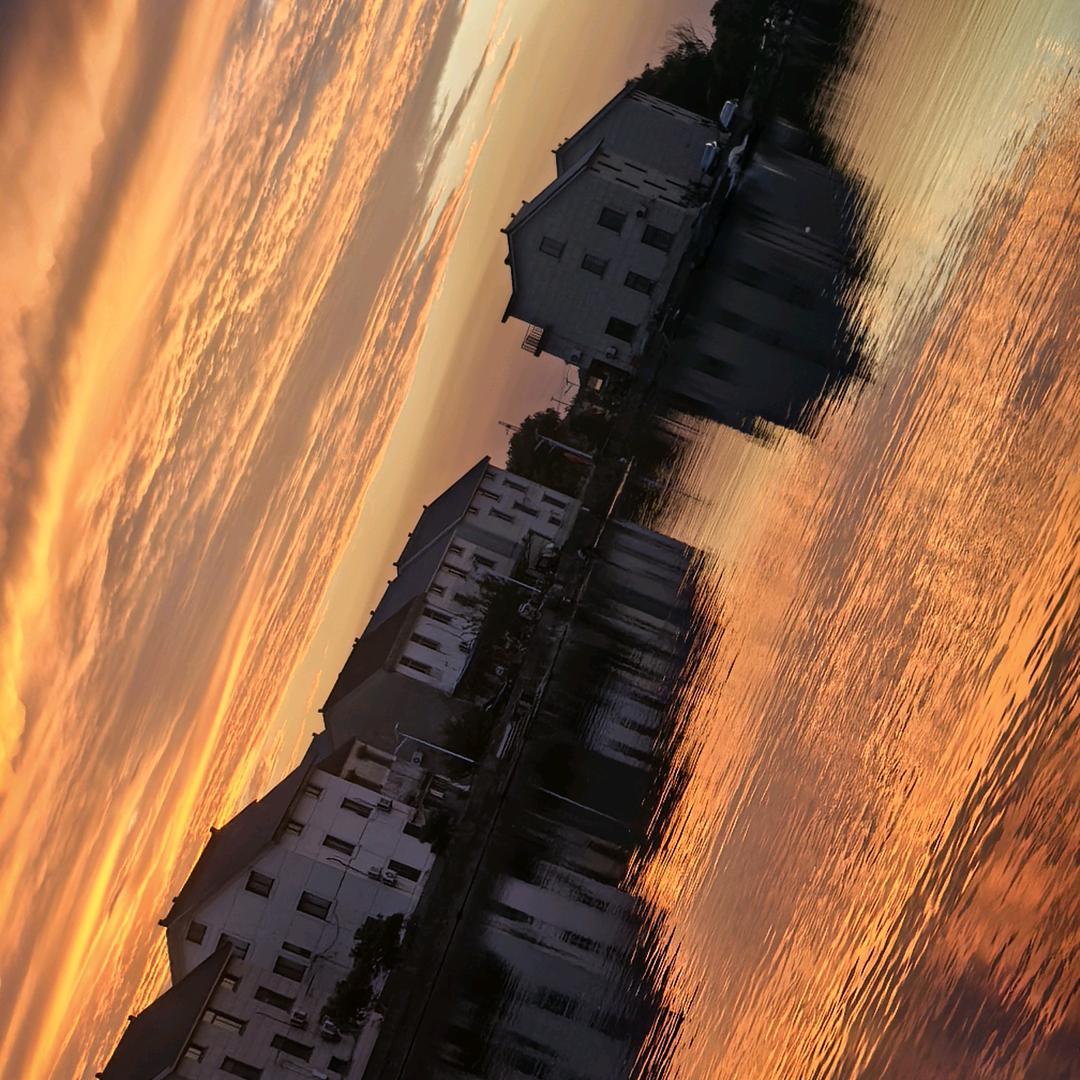 情绪回收站（小亮子）