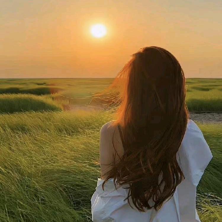 莉莉11