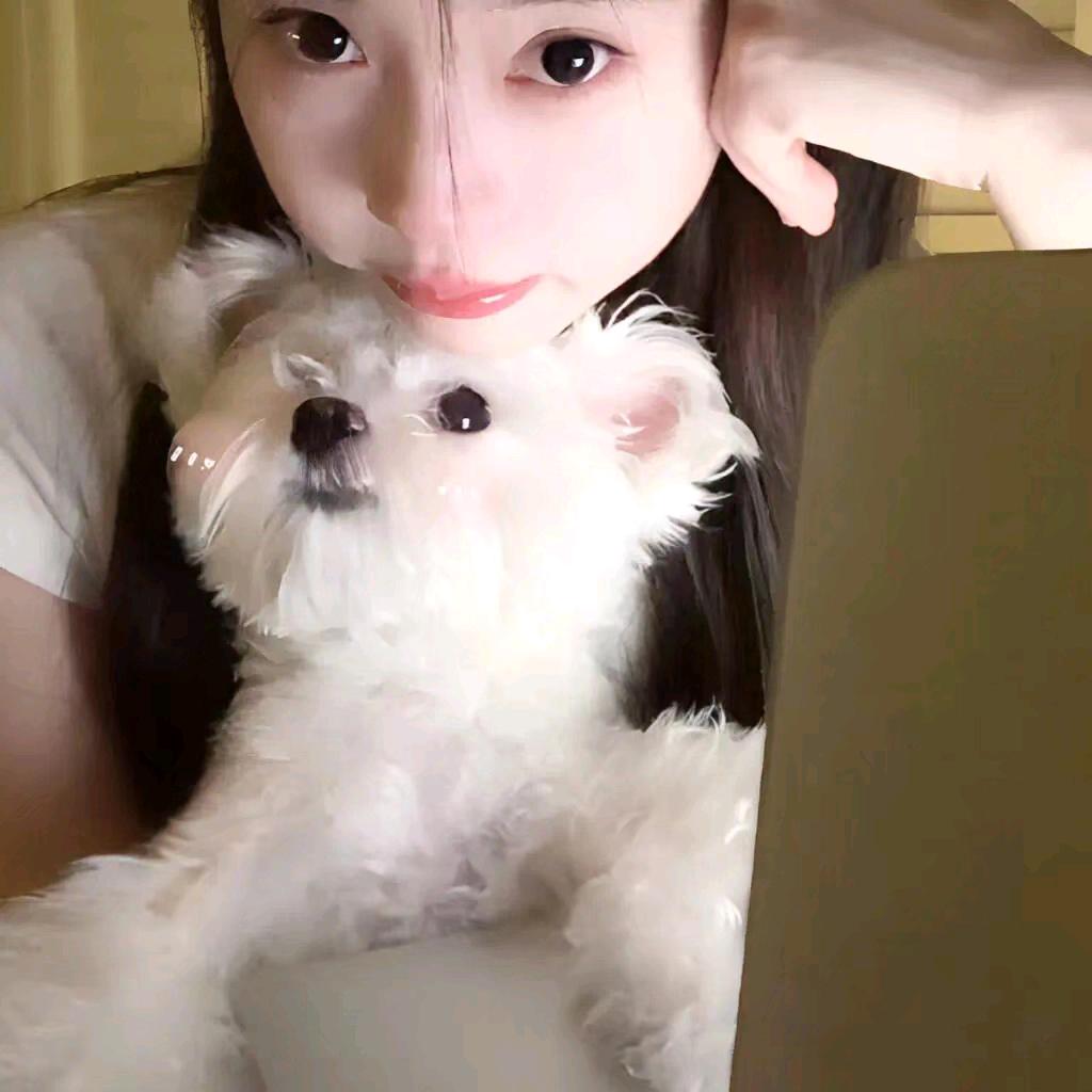 揽星ㅤ