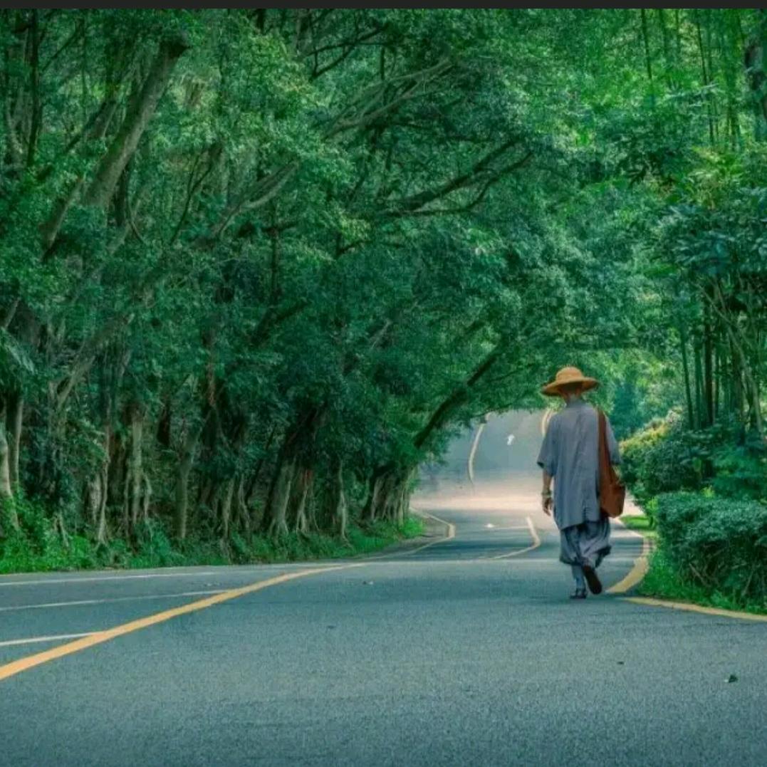 人在旅途