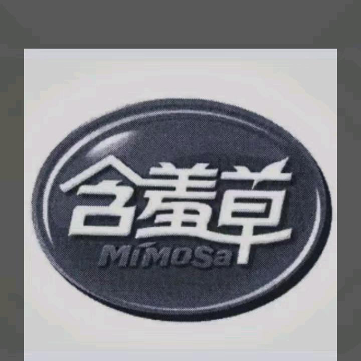 含羞草
