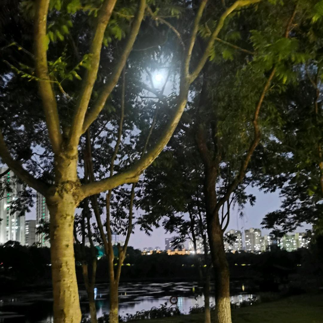 一个人去看海后永久注销此账户
