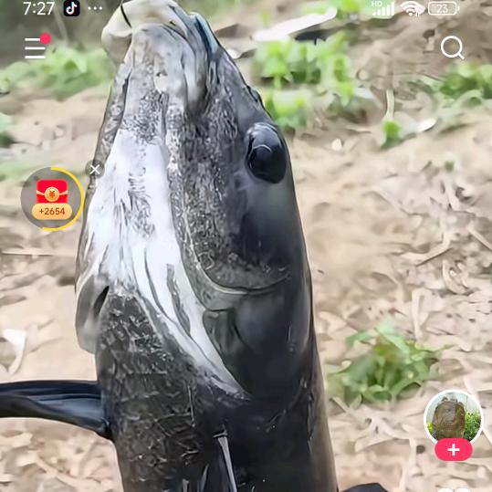 正能量博主
