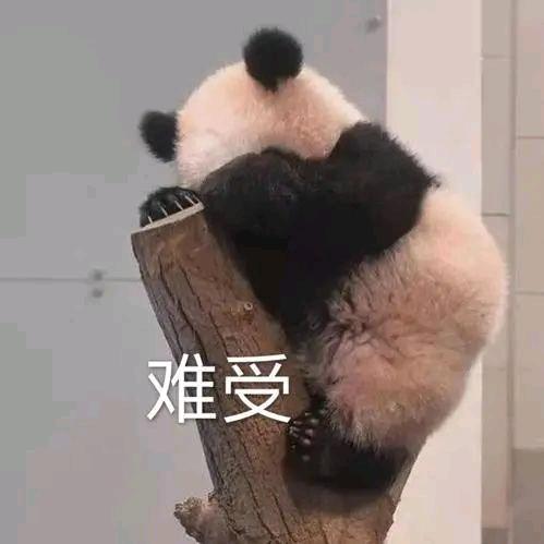 文力元