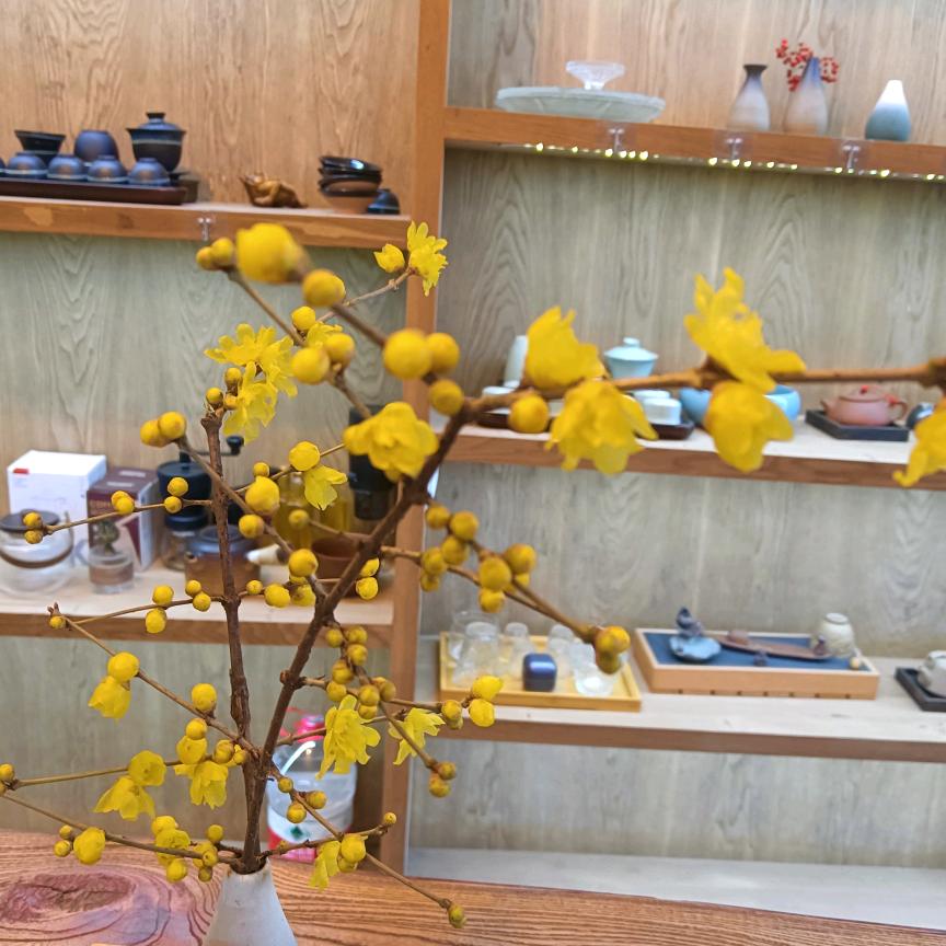 冬日d(ŐдŐ๑)暖羊