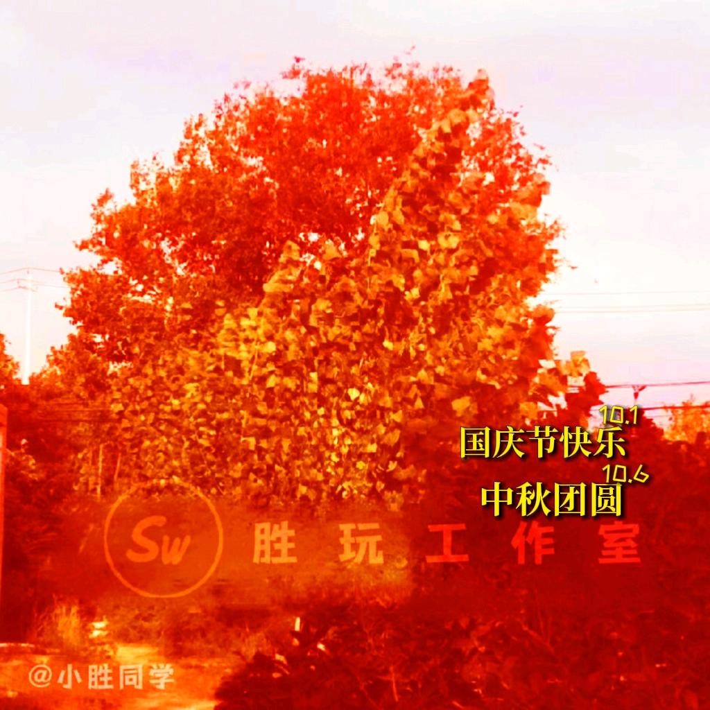 小胜同学