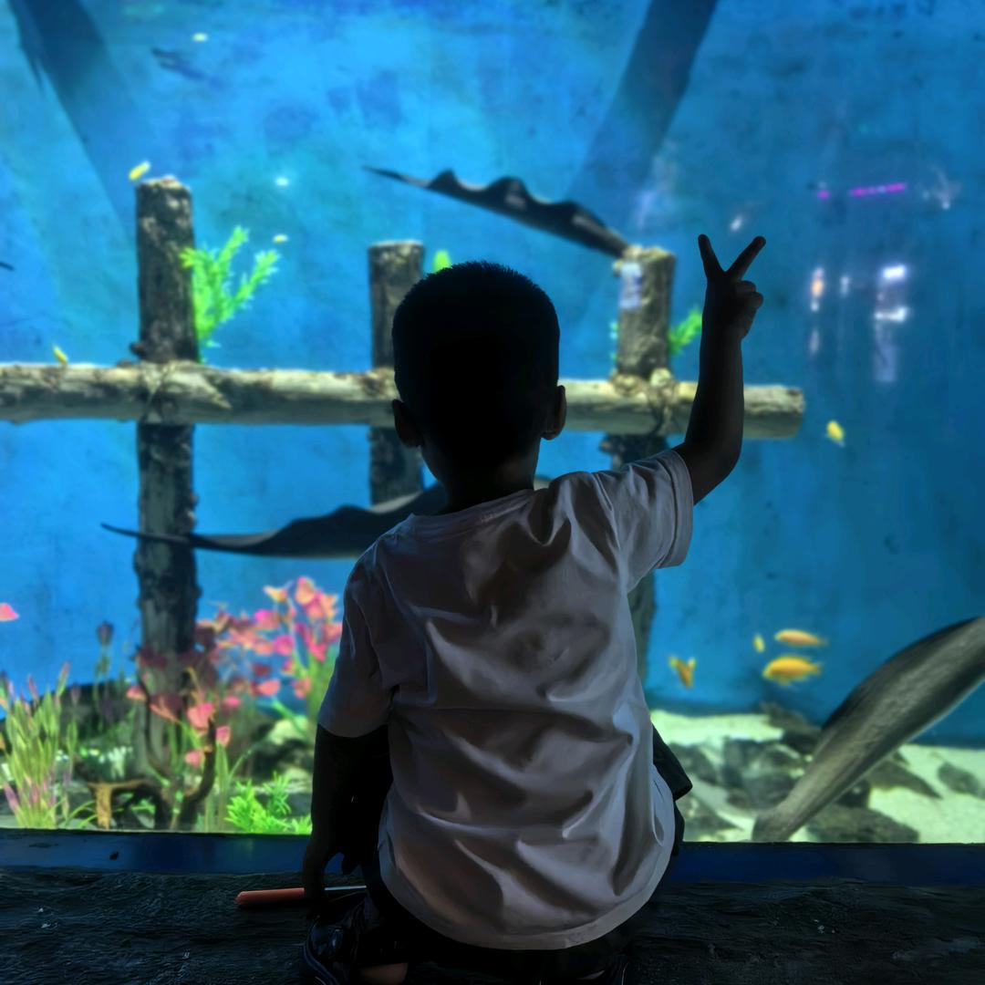 蹲家里的小新呀