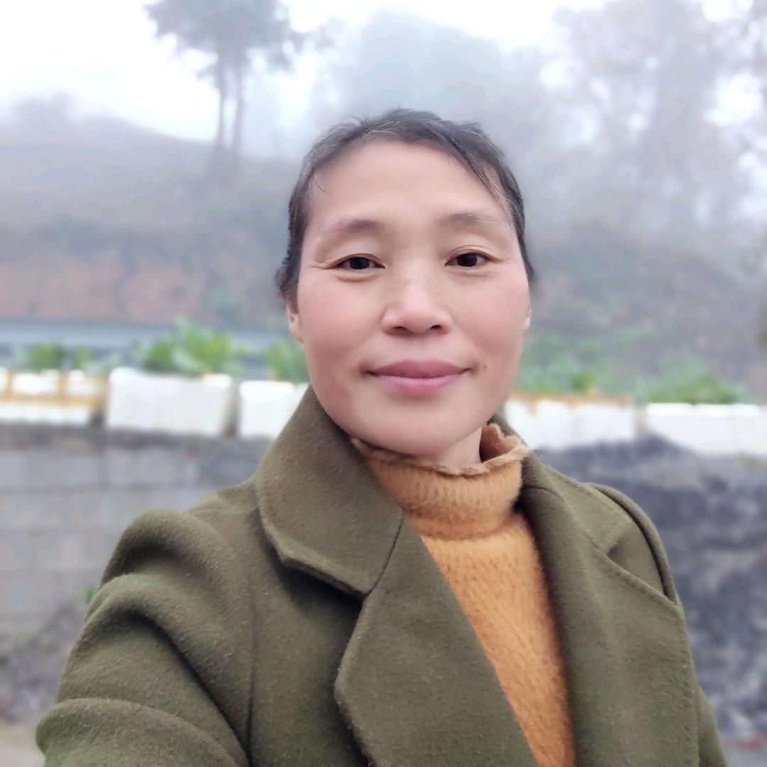 顺其自然（中午11：30）直播