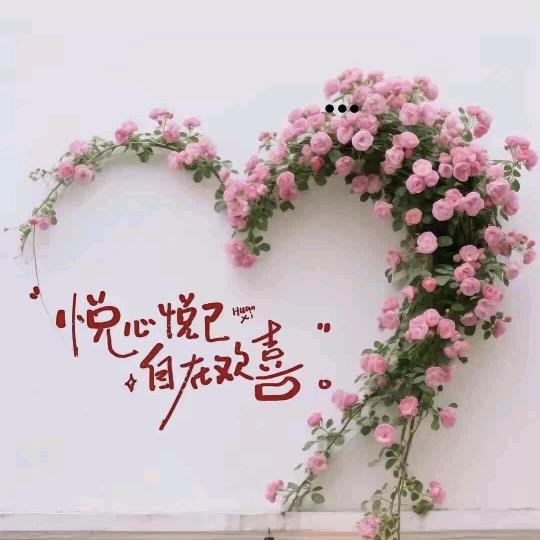 悦儿