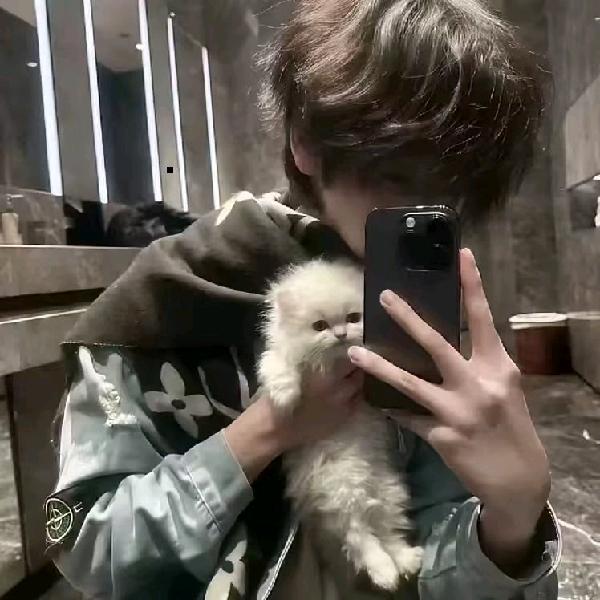 尚博勒（圣诞版）