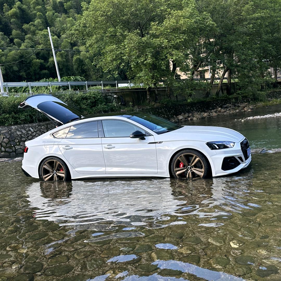 ღ逆风行