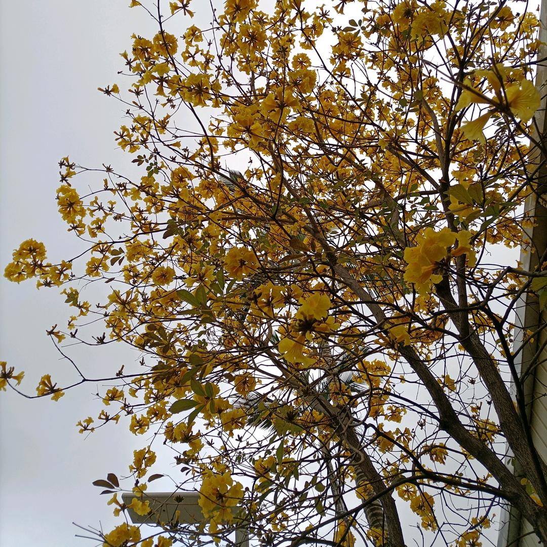 正在输入…………