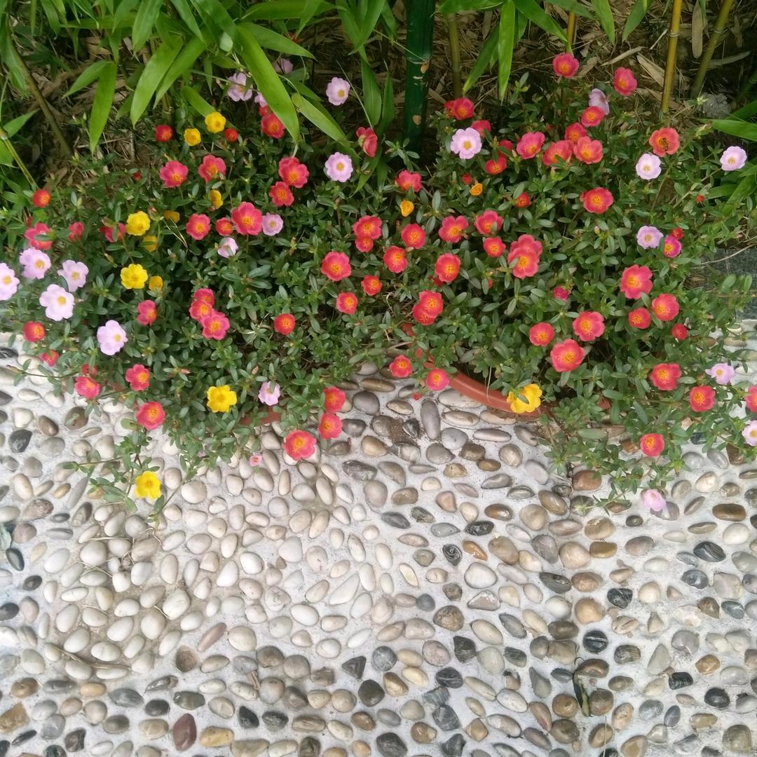 春暖花开