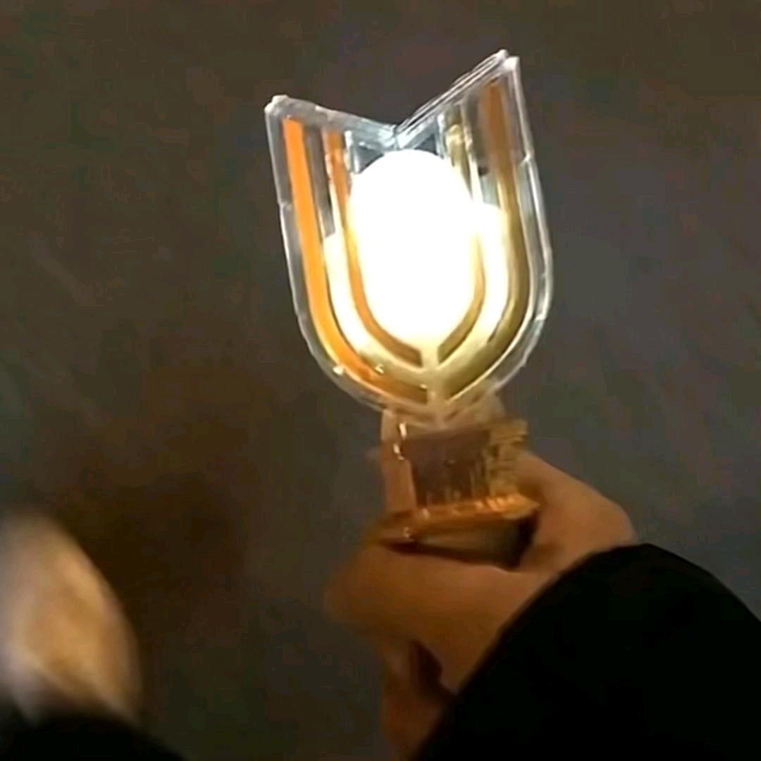 我家猫会后空翻.