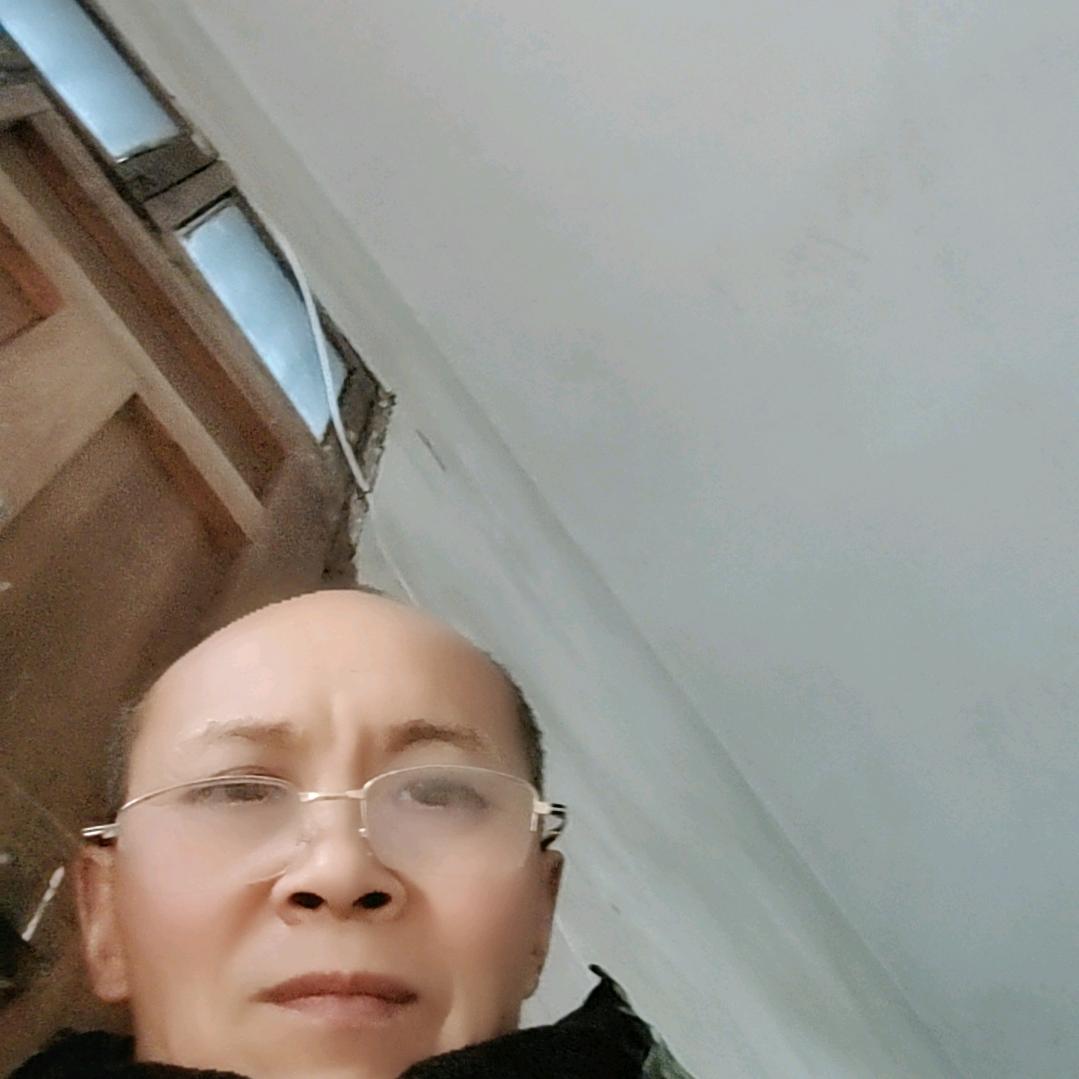 周锅盔果园生态散养鸡鹅