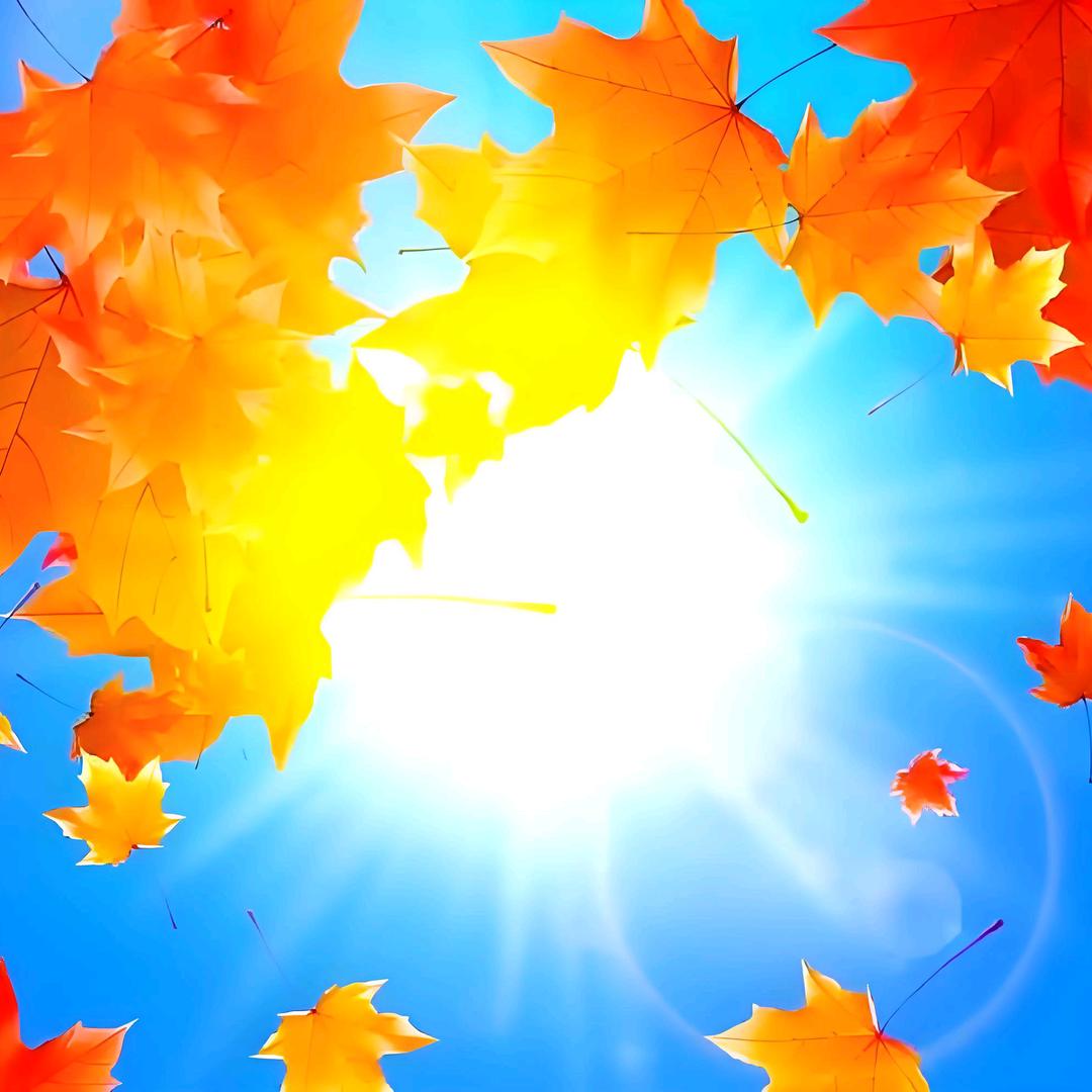 太陽當空照，花兒對我笑。