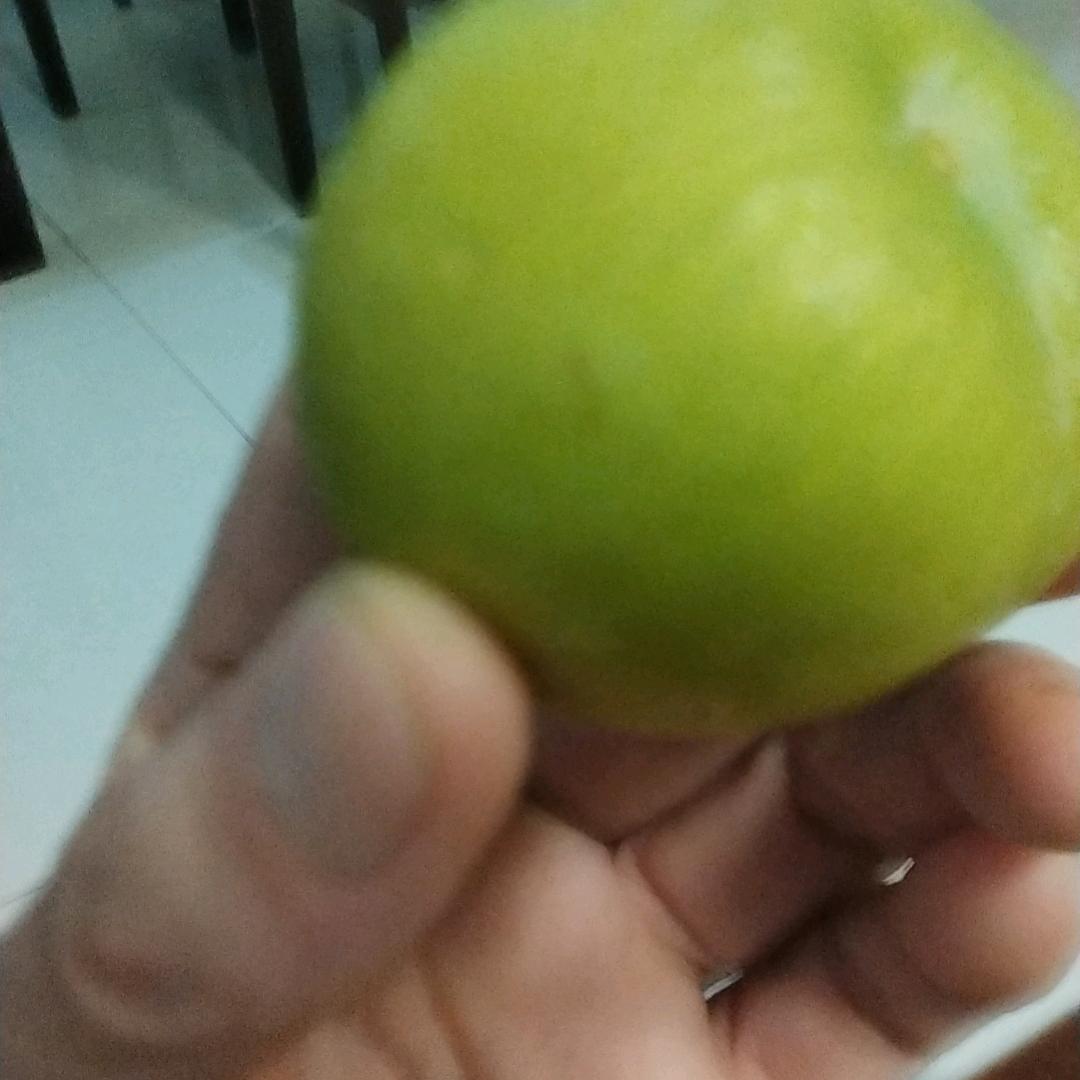 坏坏的