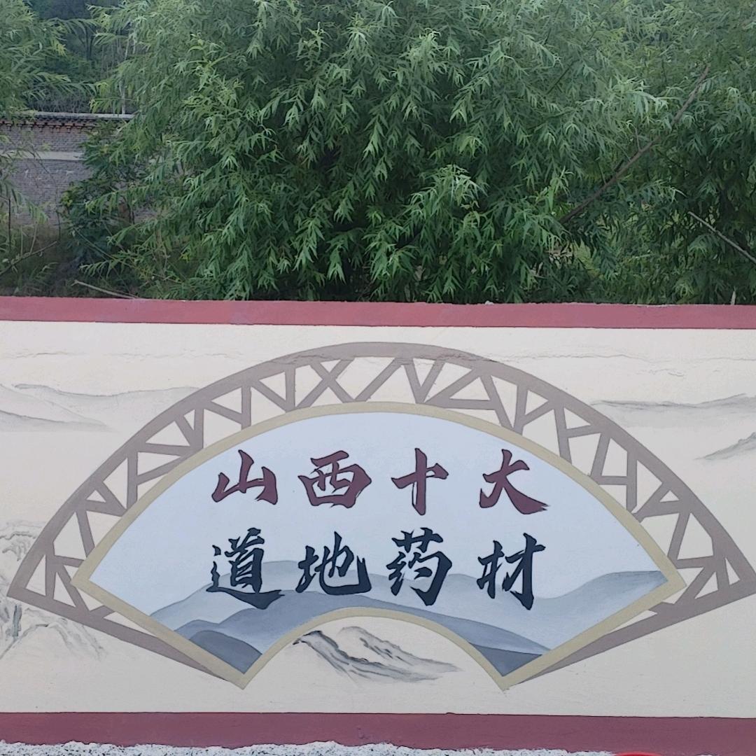 诗和远方