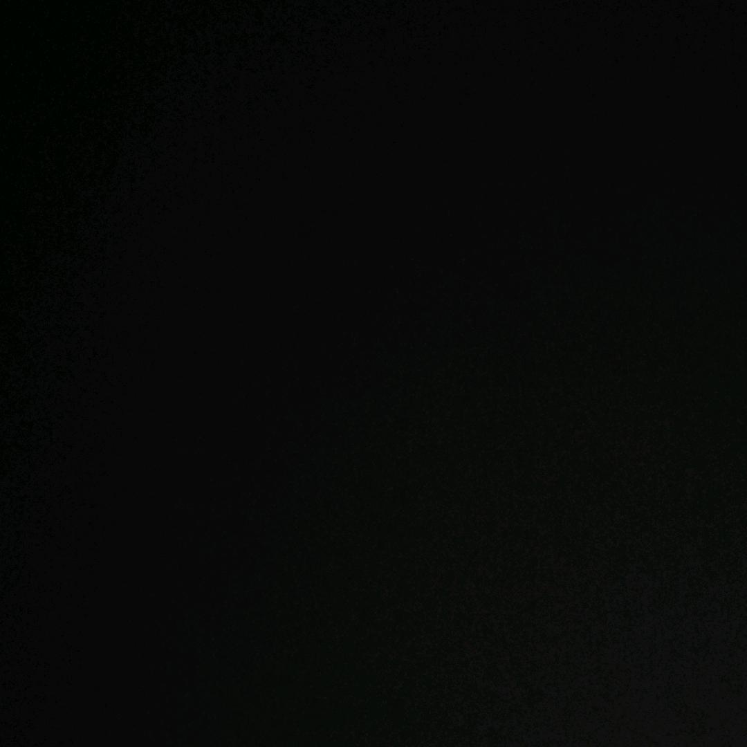 海胆