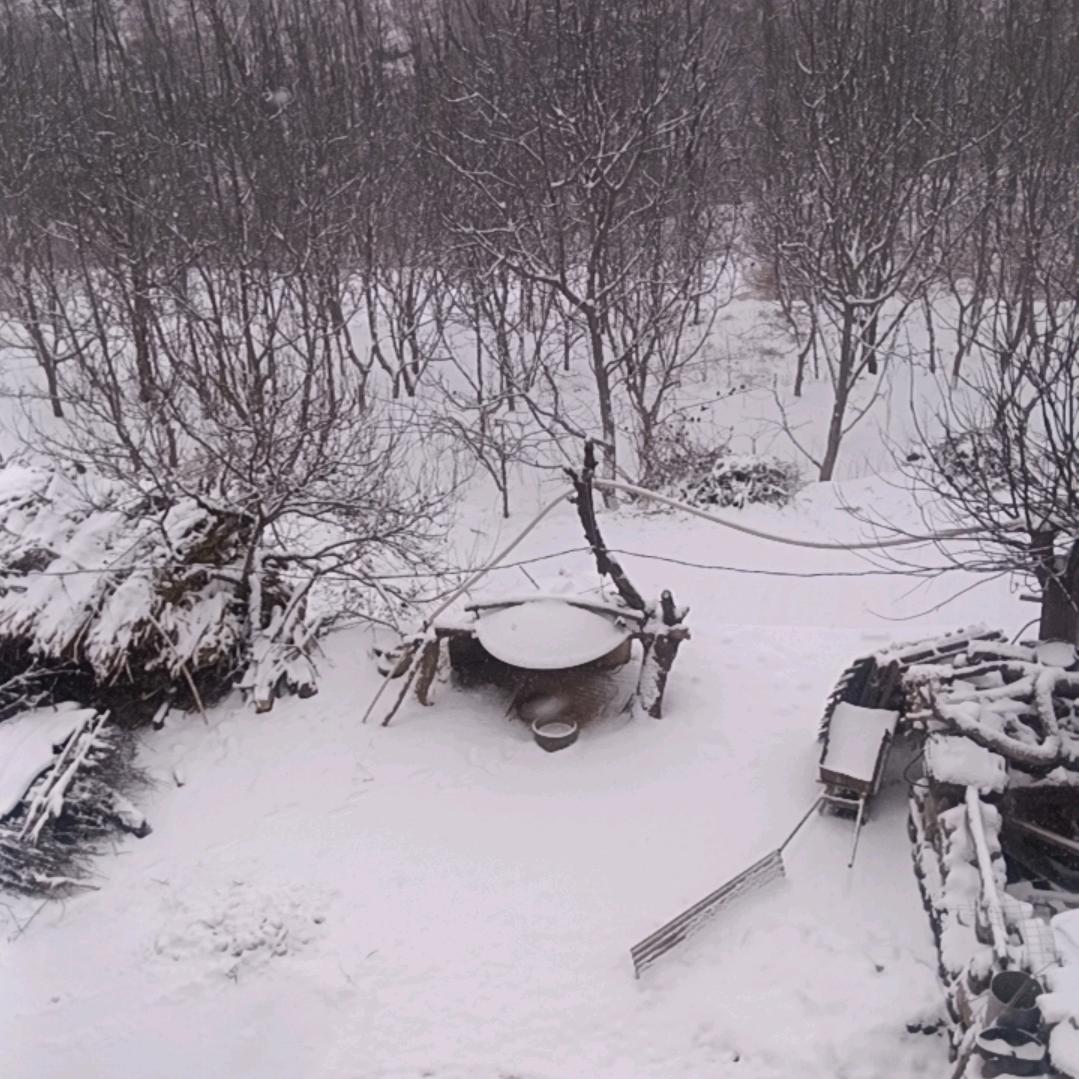 ꧁꫞上善若水,꫞꧂