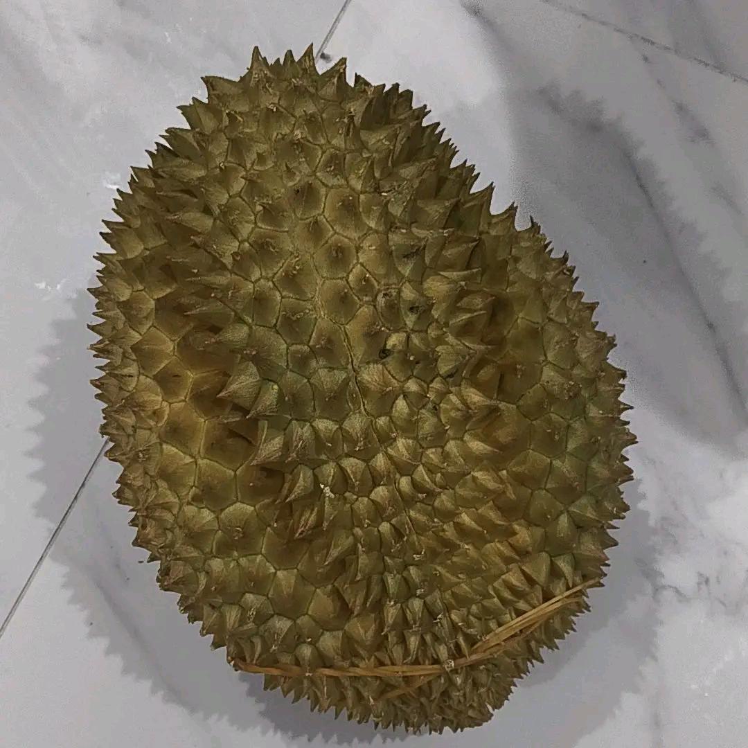 重新开始