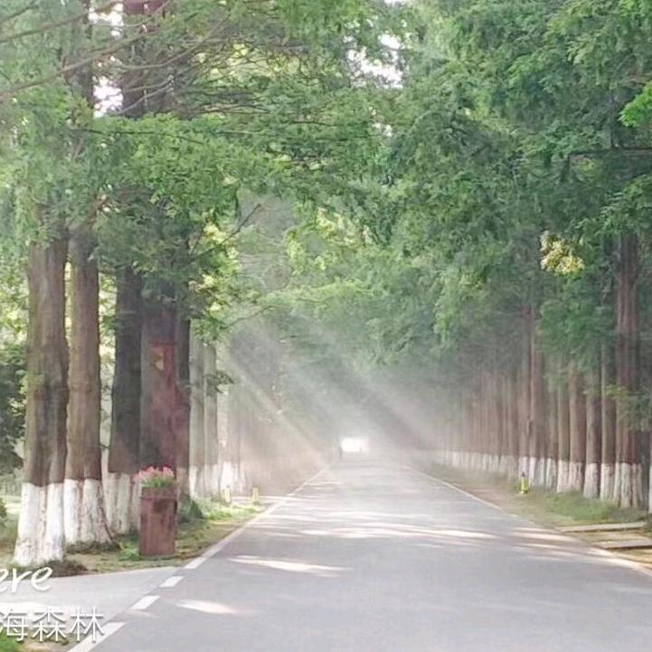 天裕苍穹