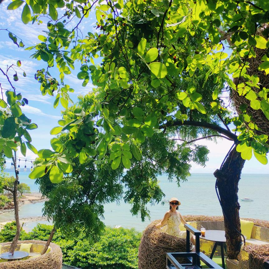 ⁵²º༼༄༅清茶与酒＆🍒༈྅