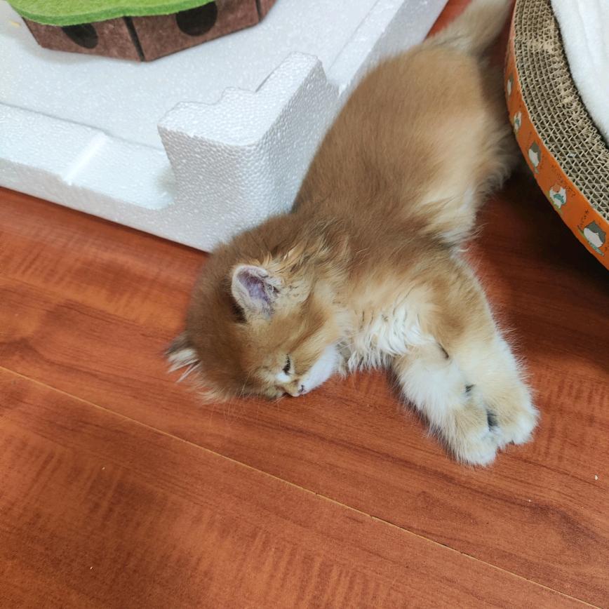 小情绪。