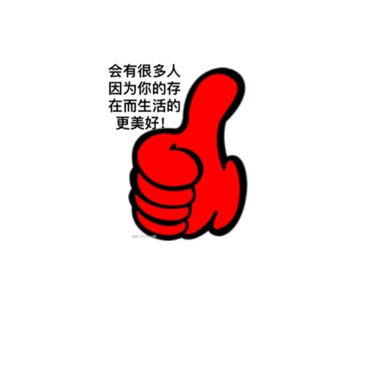 9527导演