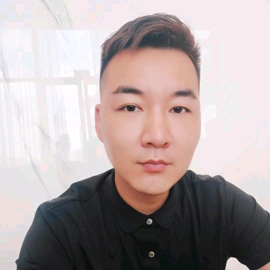 阿摆太难了【备用】