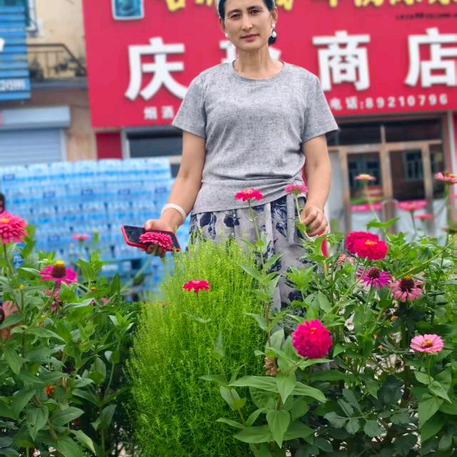 晶静