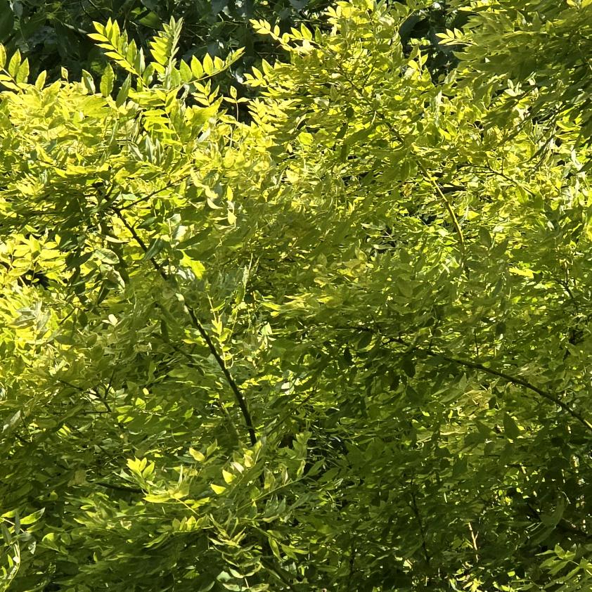 苦练括约肌夹断负心汉