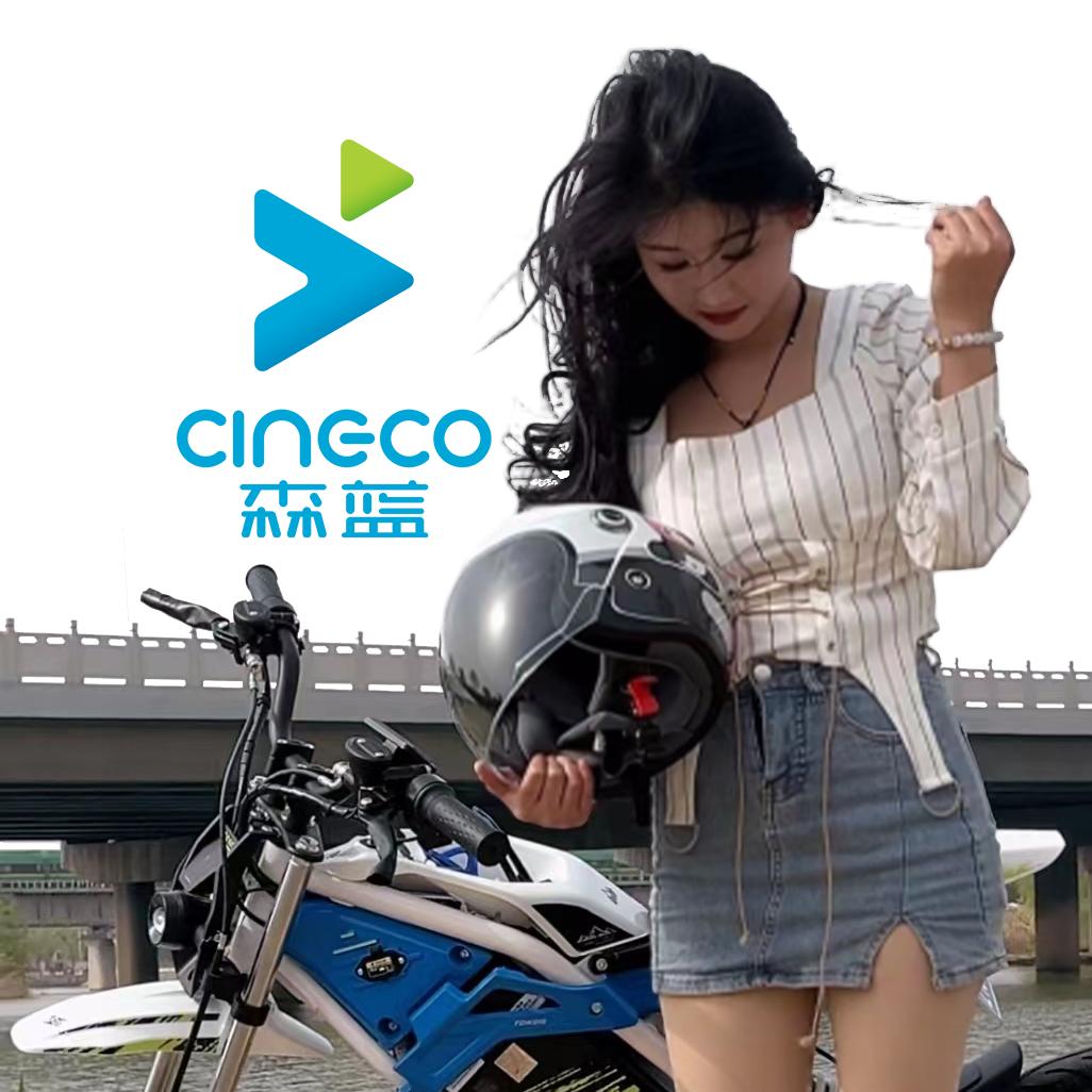 森蓝电动西安-莹莹