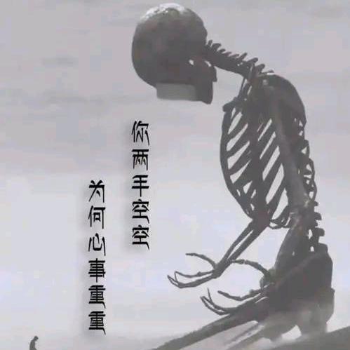 漂泊
