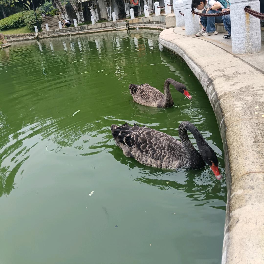 永远积极向上