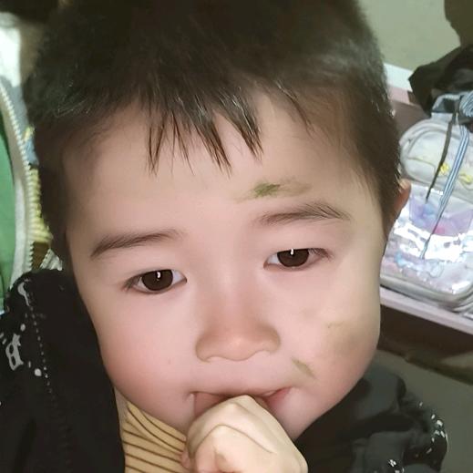 鱼水合欢