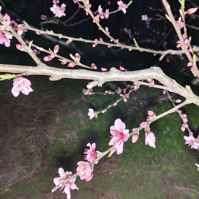 过往云烟