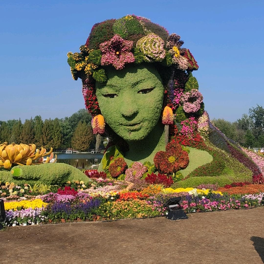 能不能努力搞票