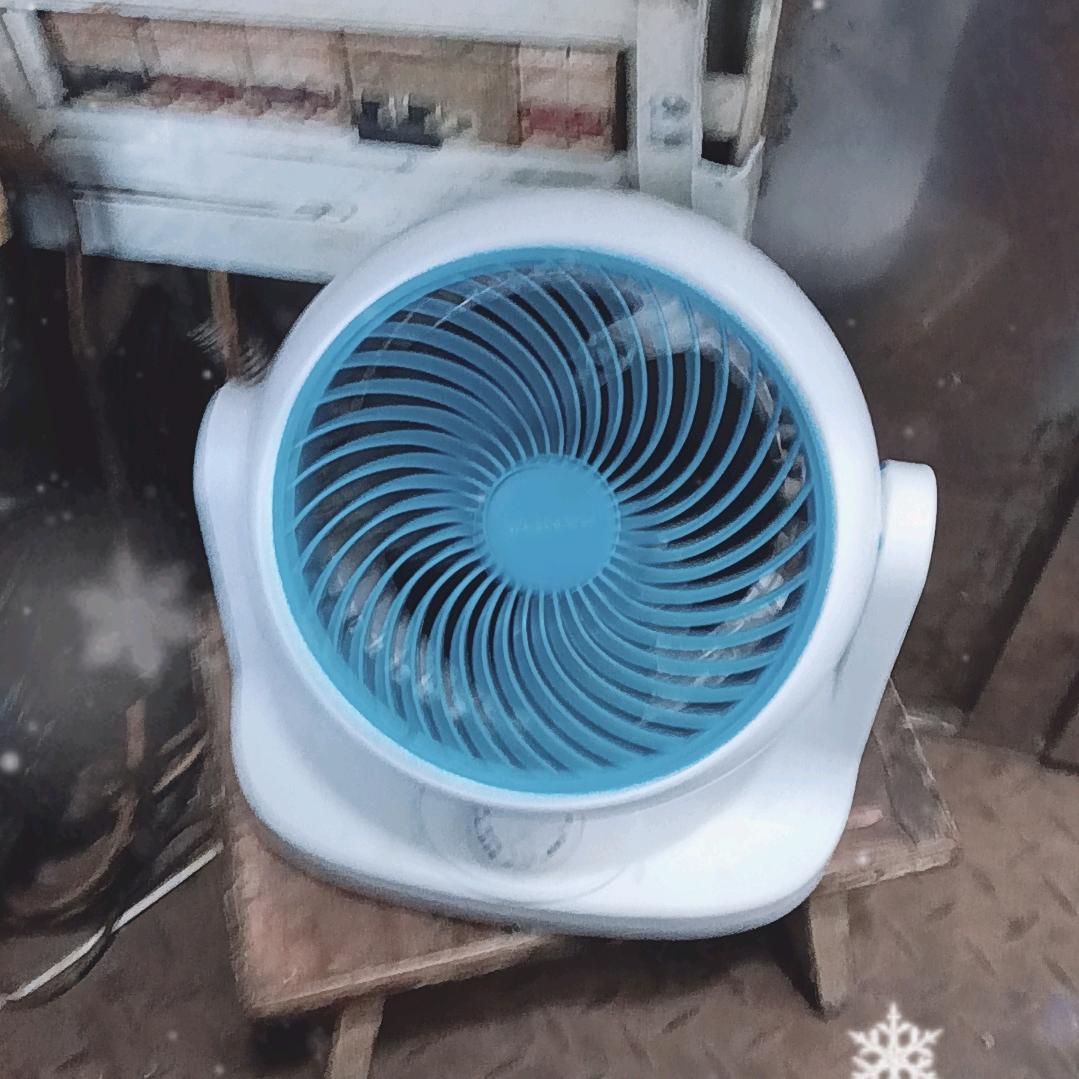 无法无天（看煮胜利）