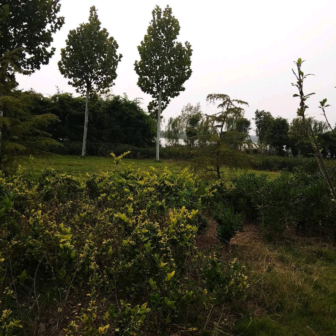 晨曦01