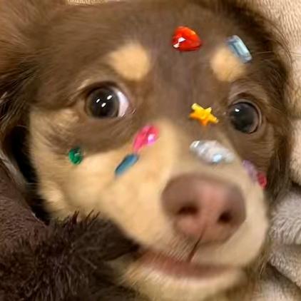 䧐
