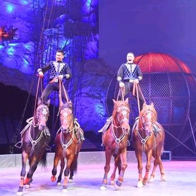 领头羊大马戏yld